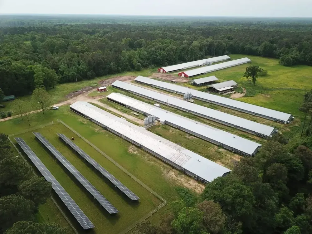 Poultry System – 180 kW solar installation